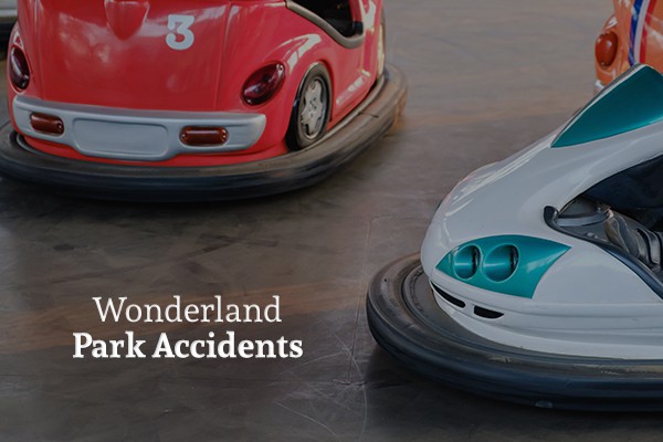 Two bumper cars about to run into each other with the words wonderland park accidents